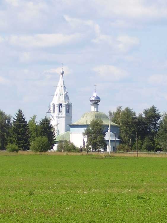 Церковь Благовещения Пресвятой Богородицы, Воронцово (Пучежский район, Ивановская область). общий вид в ландшафте
