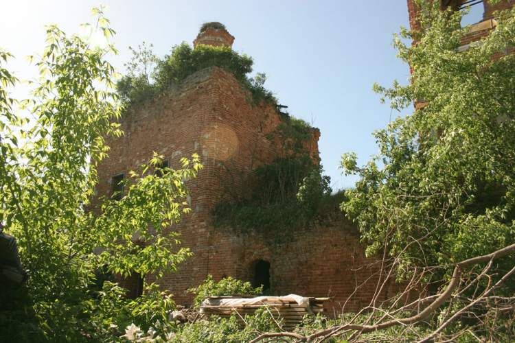 Церковь Николая Чудотворца, Чижовка (Калуга, город, Калужская область). фасады