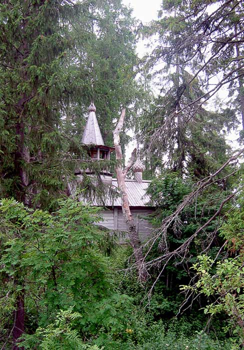 Часовня Иоанна Предтечи, Горбачиха (Плесецкий район, Архангельская область). общий вид в ландшафте