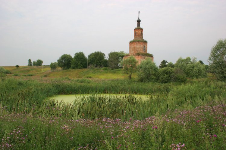 Церковь Петра и Павла, Маслихово (Мещовский район, Калужская область). общий вид в ландшафте