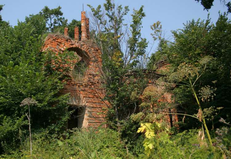Церковь Николая Чудотворца, Медведки (Мещовский район, Калужская область). фасады