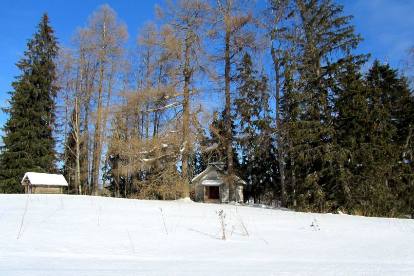 Часовня Иоанна Предтечи, Горбачиха (Плесецкий район, Архангельская область). общий вид в ландшафте