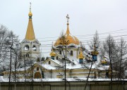 Новосибирск. Вознесения Господня, кафедральный собор
