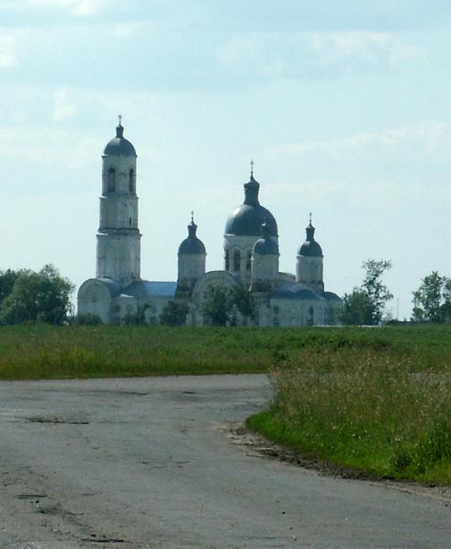 Церковь Троицы Живоначальной, Салазгорь (Торбеевский район, Республика Мордовия). общий вид в ландшафте