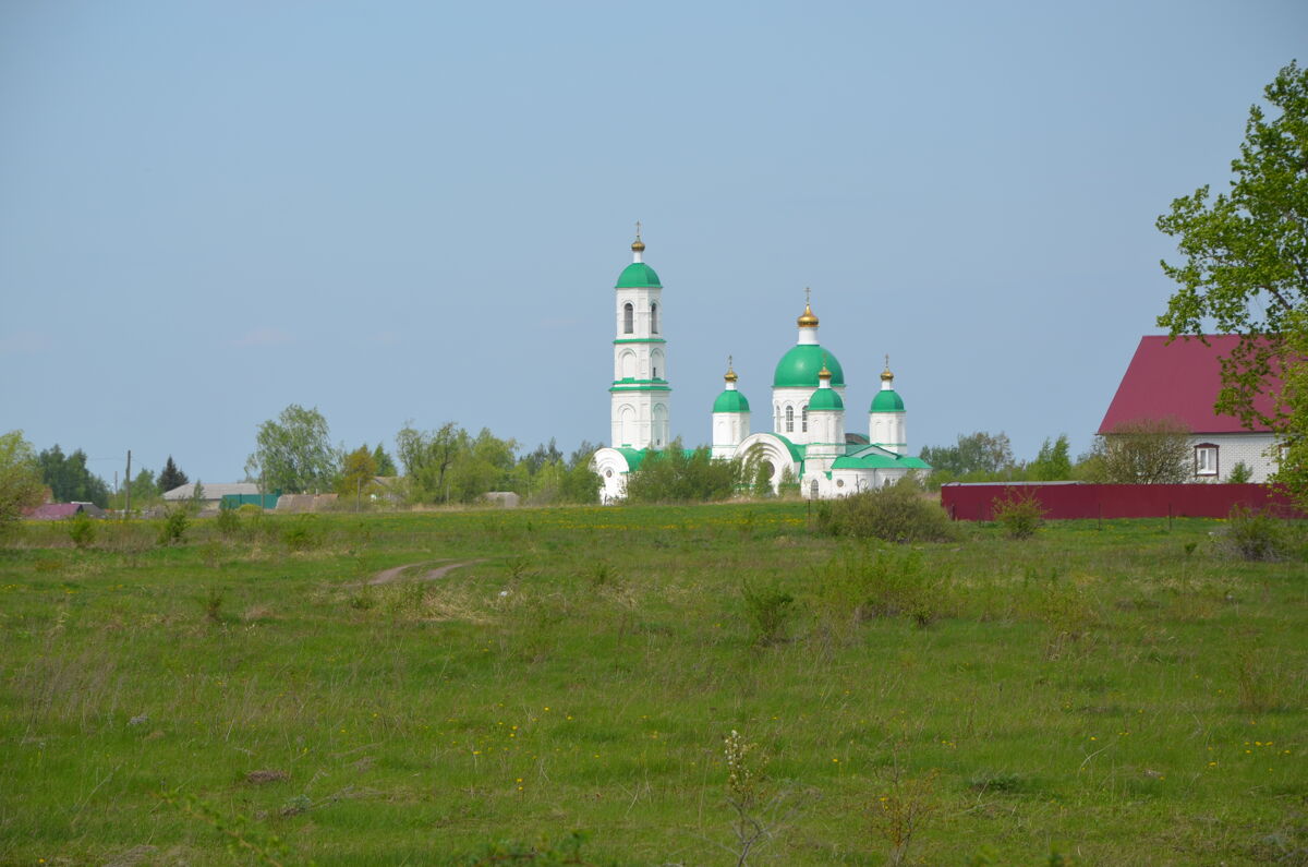 Церковь Троицы Живоначальной, Салазгорь (Торбеевский район, Республика Мордовия). общий вид в ландшафте, Вид с автодороги Торбеево - Виндрей