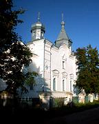 Церковь Успения Пресвятой Богородицы, , Курицко, Новгородский район, Новгородская область