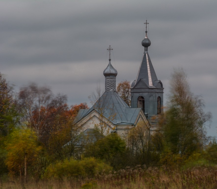 Васильевское. Церковь Василия Великого. общий вид в ландшафте