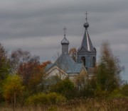 Церковь Василия Великого, , Васильевское, Новгородский район, Новгородская область