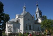 Церковь Василия Великого, , Васильевское, Новгородский район, Новгородская область