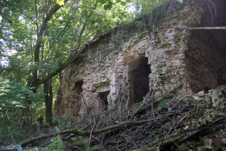 Церковь Воскресения Христова, Шеметовое (Мещовский район, Калужская область). архитектурные детали