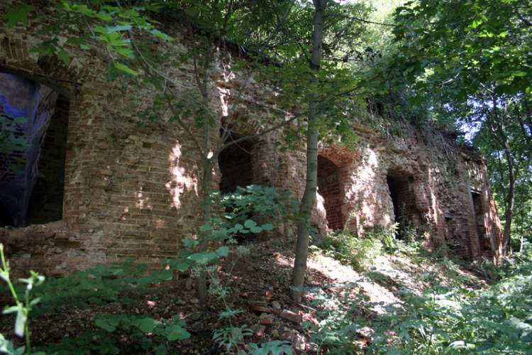Церковь Воскресения Христова, Шеметовое (Мещовский район, Калужская область). фасады
