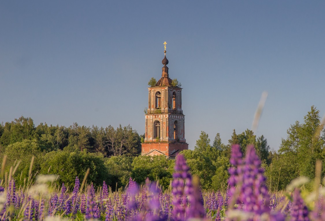 Аргуново, урочище. Колокольня церкви Николая Чудотворца. общий вид в ландшафте