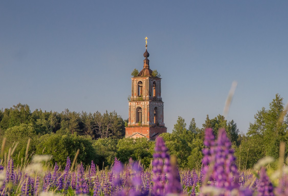 Аргуново, урочище. Колокольня церкви Николая Чудотворца. архитектурные детали