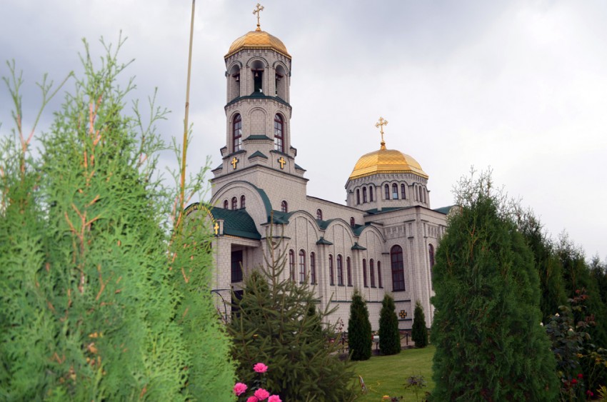 Лиски. Церковь Новомучеников Воронежских. общий вид в ландшафте