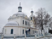 Церковь Троицы Живоначальной, в начале зимы 2013 года<br>, Вторусское, Арзамасский район и г. Арзамас, Нижегородская область