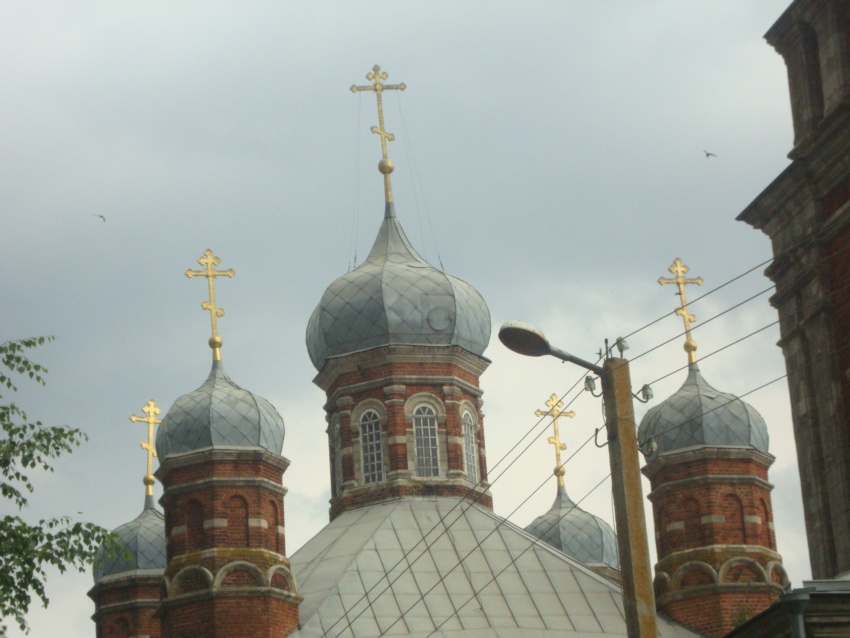 Церковь Николая Чудотворца, Стрелецкие выселки (Михайловский район, Рязанская область). архитектурные детали
