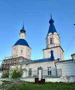Церковь Рождества Пресвятой Богородицы, , Маково, Михайловский район, Рязанская область