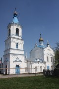 Церковь Рождества Пресвятой Богородицы - Белёв - Белёвский район - Тульская область