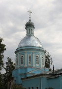 Церковь Вознесения Господня - Борисоглебский погост - Киржачский район - Владимирская область