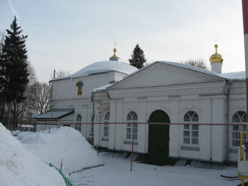 Церковь Митрофана Воронежского, Пенза (Пенза, город, Пензенская область). архитектурные детали