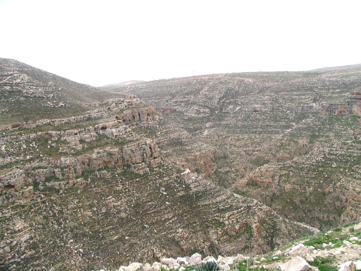Иудейская пустыня, Вади Харитун (Нахаль Текоа). Суккийская лавра. общий вид в ландшафте, 