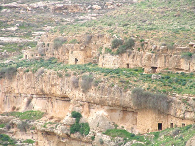 Иудейская пустыня, Вади Харитун (Нахаль Текоа). Суккийская лавра. общий вид в ландшафте, Кельи анахоретов в скальных склонах ущелья, тянущиеся на несколько километров по обоим склонам.