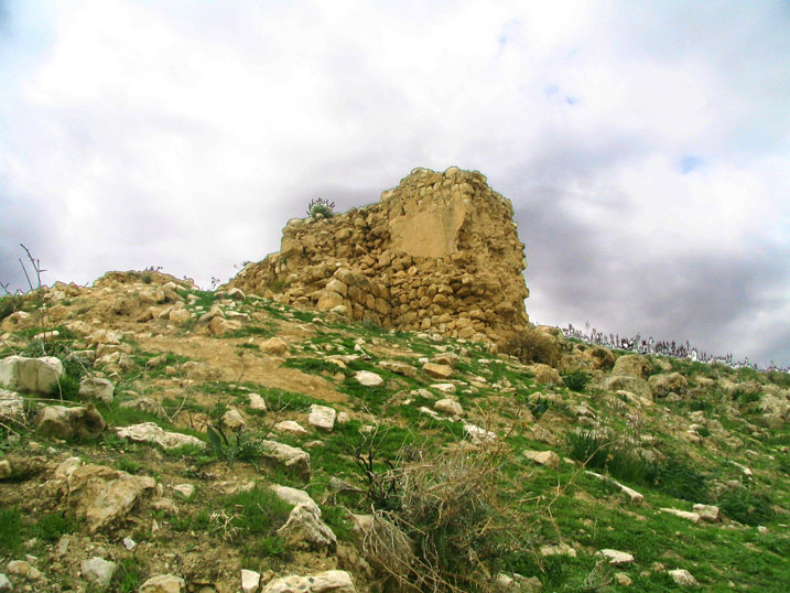 Иудейская пустыня, Вади Харитун (Нахаль Текоа). Суккийская лавра. дополнительная информация, 