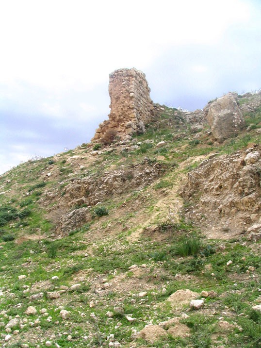 Суккийская лавра, Иудейская пустыня, Вади Харитун (Нахаль Текоа) (Палестина, Прочие страны). дополнительная информация, Вероятно, развалины стены большой церкви лавры. Вид с северо-востока.