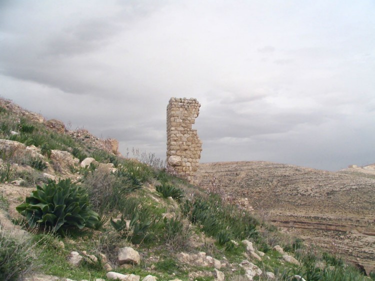 Иудейская пустыня, Вади Харитун (Нахаль Текоа). Суккийская лавра. дополнительная информация, Развалины сторожевой башни. Вид с юга.