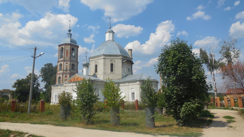 Церковь Троицы Живоначальной, Троицкое (Жуковский район, Калужская область). общий вид в ландшафте