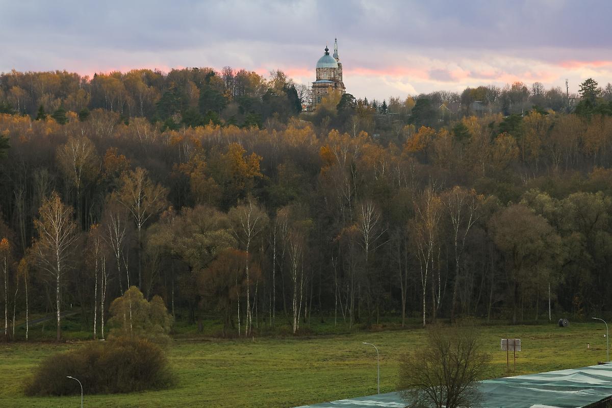 общий вид в ландшафте. Церковь Спаса Нерукотворного Образа, Райсемёновское (Серпуховский городской округ и гг. Протвино, Пущино, Московская область)