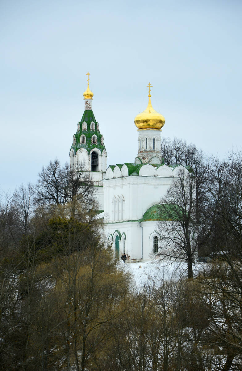 Церковь Преображения Господня, Бужарово (Истринский городской округ и ЗАТО Восход, Московская область). общий вид в ландшафте