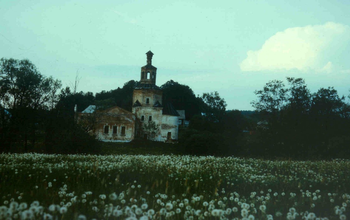 Васюнино. Церковь Троицы Живоначальной в Васюнине. общий вид в ландшафте