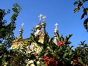 Церковь Воскресения Христова - Зазимье - Броварский район - Украина, Киевская область