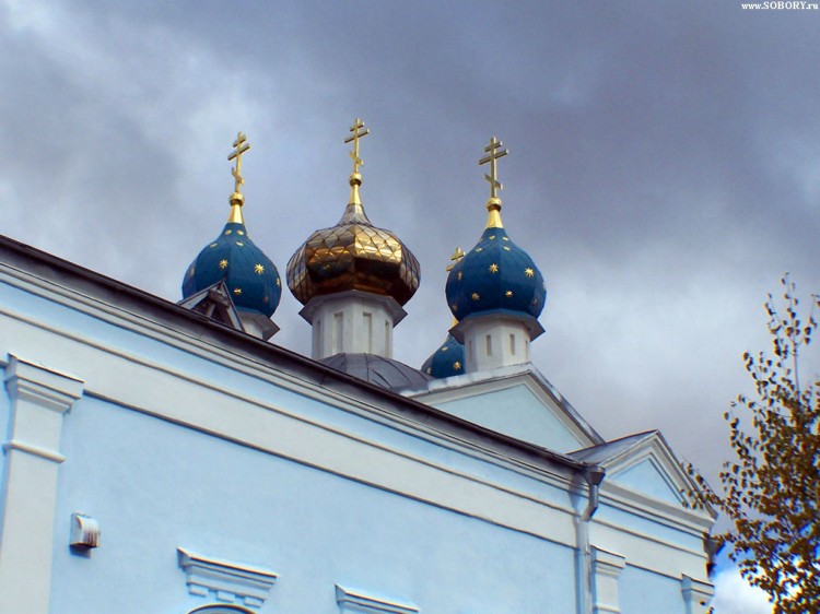 Церковь Рождества Пресвятой Богородицы в Гнилицах, Автозаводский район (Нижний Новгород, город, Нижегородская область). архитектурные детали