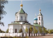 Церковь Троицы Живоначальной - Шарапово - Шатурский городской округ и г. Рошаль - Московская область
