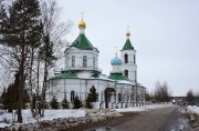 Церковь Троицы Живоначальной - Шарапово - Шатурский городской округ и г. Рошаль - Московская область