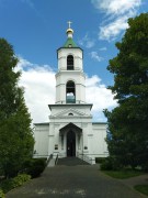 Церковь Троицы Живоначальной, , Шарапово, Шатурский городской округ и г. Рошаль, Московская область