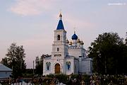 Церковь Преображения Господня, , Андреевские Выселки, Шатурский городской округ и г. Рошаль, Московская область