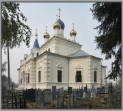 Церковь Преображения Господня, , Андреевские Выселки, Шатурский городской округ и г. Рошаль, Московская область