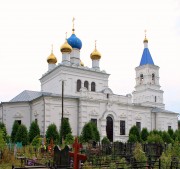 Церковь Преображения Господня, , Андреевские Выселки, Шатурский городской округ и г. Рошаль, Московская область