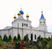 Церковь Спаса Преображения - Андреевские Выселки - Шатурский городской округ и г. Рошаль - Московская область