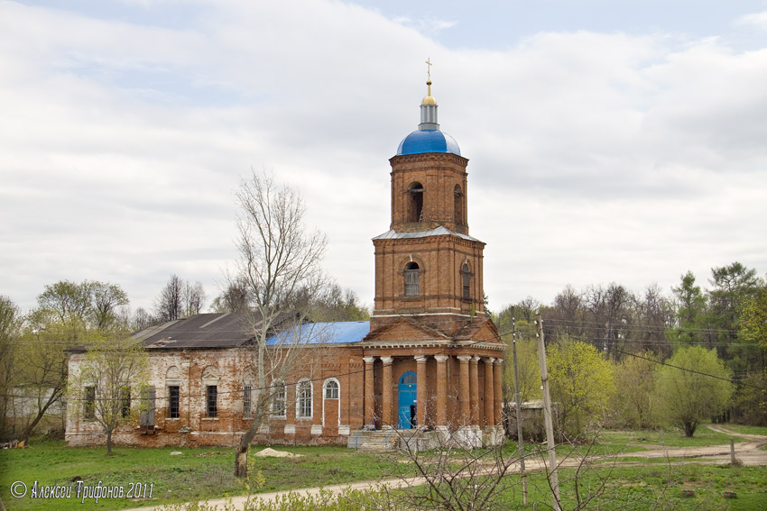 Дмитриево. Церковь Успения Пресвятой Богородицы. общий вид в ландшафте