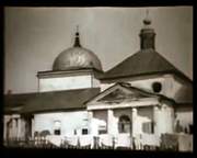 Пчела. Казанская Богородицкая Площанская мужская пустынь. Церковь Покрова Пресвятой Богородицы