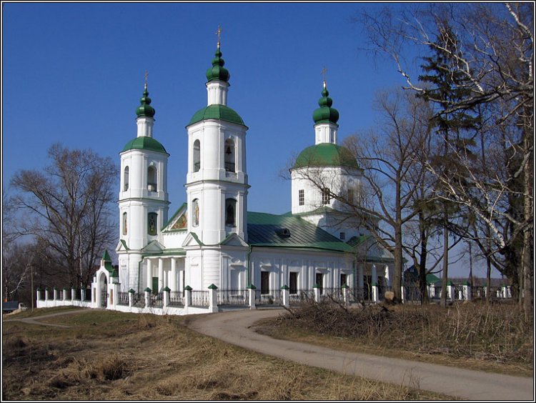Церковь Воскресения Христова, Молоди (Чеховский городской округ, Московская область). общий вид в ландшафте