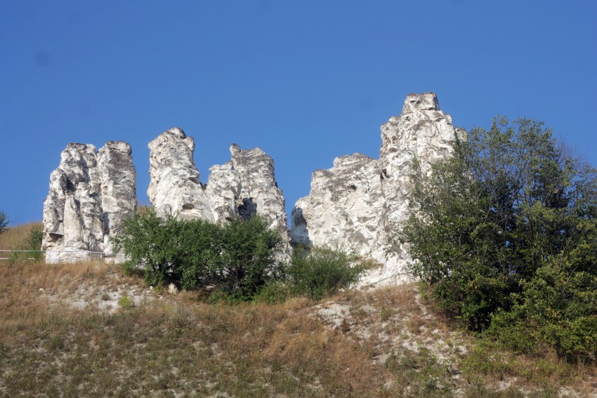 Церковь Сицилийской иконы Божией Матери, Дивногорье (Лискинский район, Воронежская область). фасады