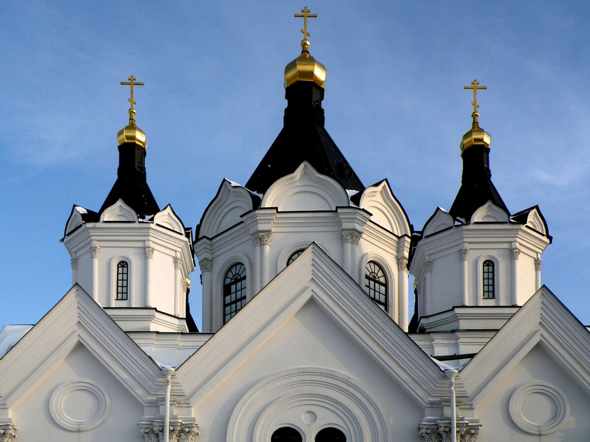 Церковь Рождества Христова, Арзамас (Арзамасский район и г. Арзамас, Нижегородская область). архитектурные детали, Купола
