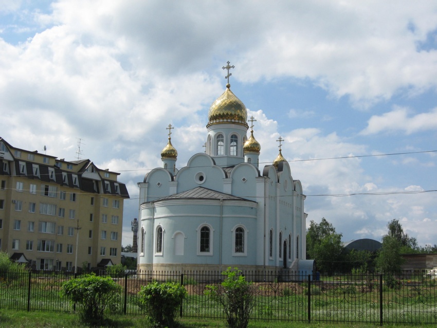 Церковь Рождества Христова, Родники (Раменский район и гг. Бронницы, Жуковский, Московская область). общий вид в ландшафте