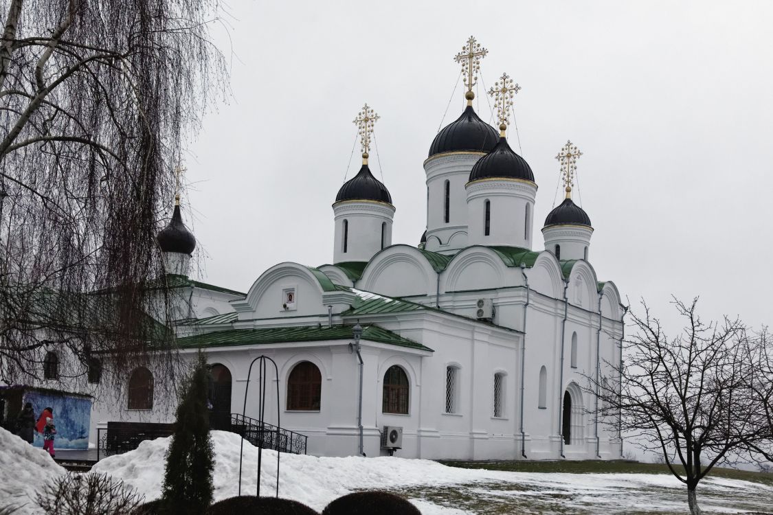 Муром. Спасский мужской монастырь. Собор Спаса Преображения. фасады