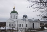 Церковь Троицы Живоначальной, Вид на северный фасад<br>, Шелокша, Кстовский район, Нижегородская область